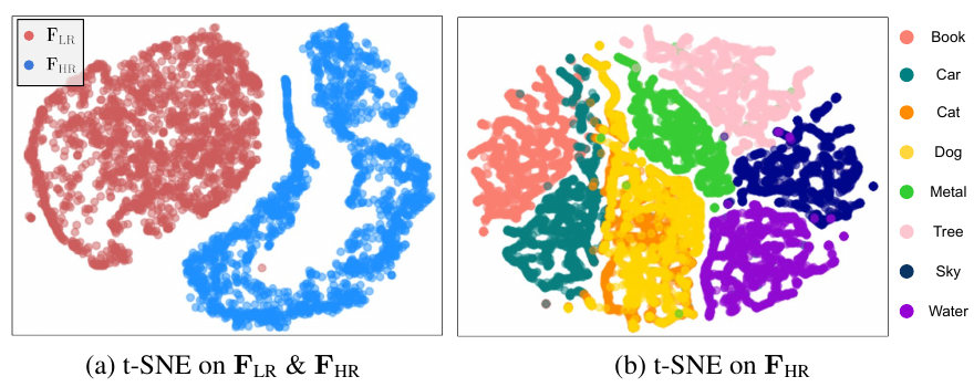 t-SNE: (a) LR 特征与 HR 特征被清晰分成红蓝两簇; (b) HR 特征按内容关键词 (Book/Car/Cat/Dog/Metal/Tree/Sky/Water) 聚成不同簇, Cat 和 Dog 靠得近