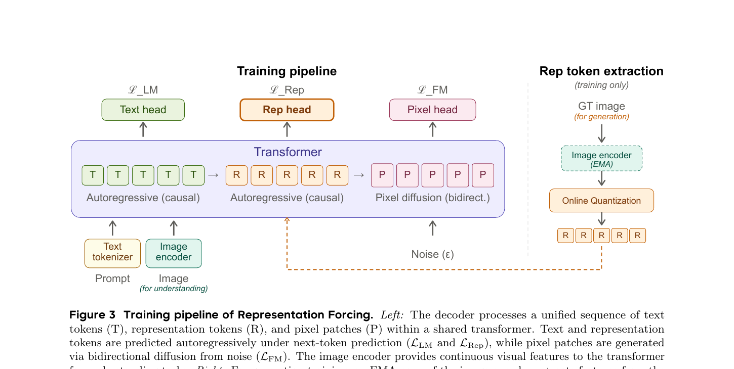 Fig 3: 训练 pipeline