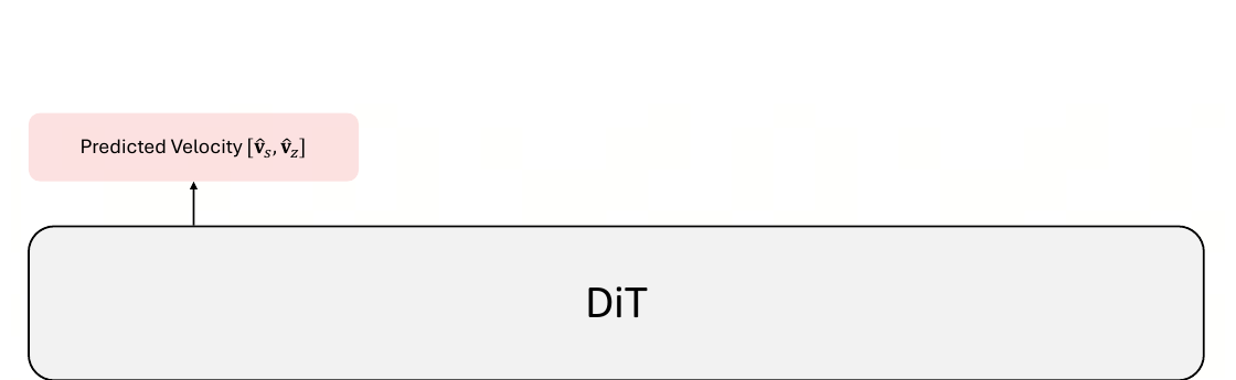 SeFi-Image 整体框架 DiT